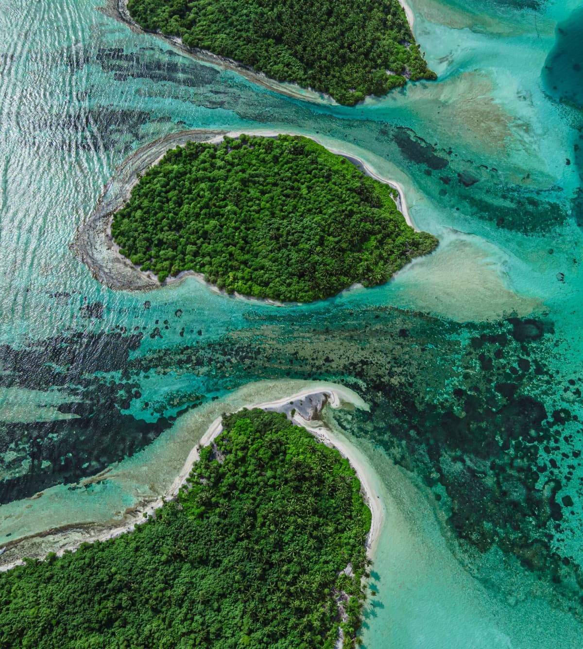 Vue aérienne d’une île boisée cerclée de récifs